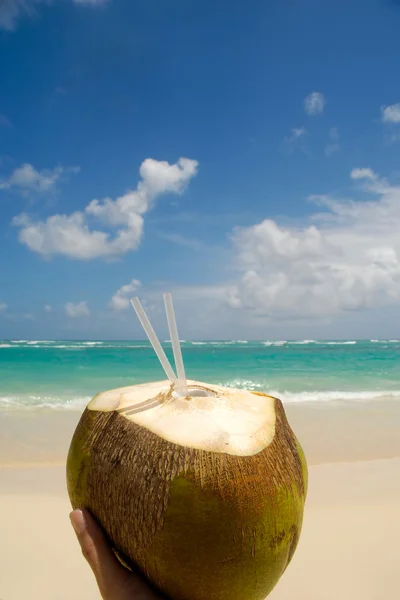 Bebida de coco y playa exótica — Foto de Stock