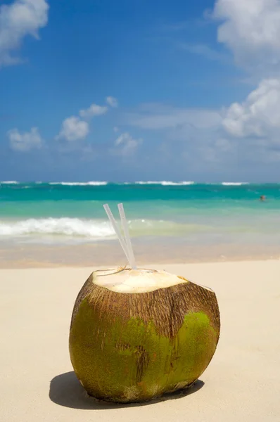 Кокосовый напиток на экзотическом пляже — стоковое фото