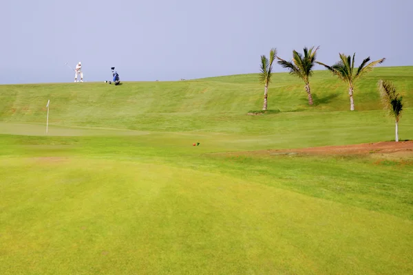Golfer ved eksotisk bestemmelsessted – stockfoto