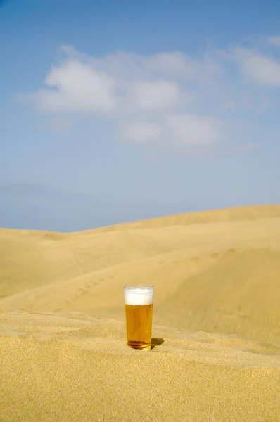 Bière fraîche dans le désert — Photo