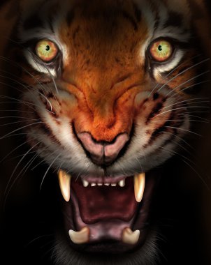 Fierce tiger clipart