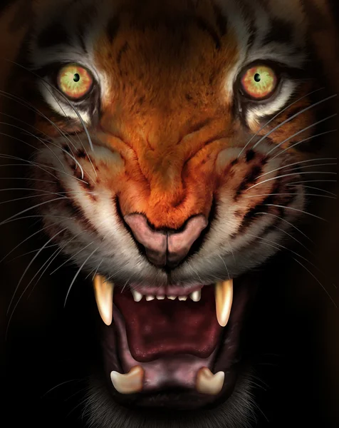 Tigre feroz — Fotografia de Stock