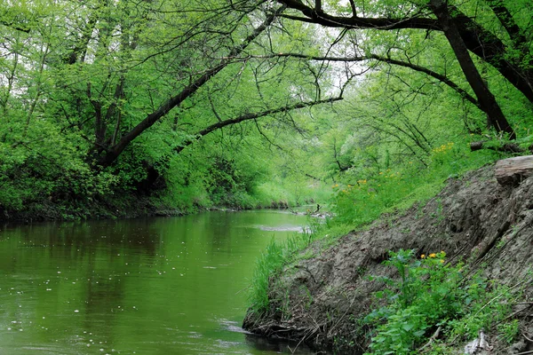 Stock image Riverside