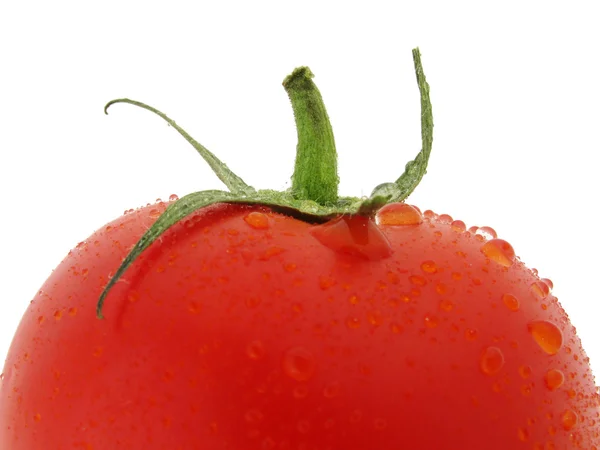 顶部的湿番茄 — 图库照片