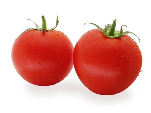 两个湿的西红柿 — 图库照片