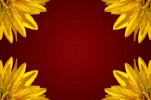Fondo con petali gialli — Foto Stock