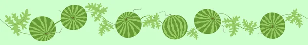Zielony arbuzy. — Wektor stockowy