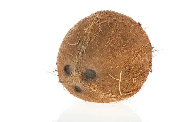Frische Kokosnuss — Stockfoto