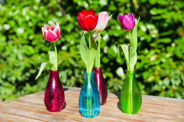 Tulpen im Garten — Stockfoto