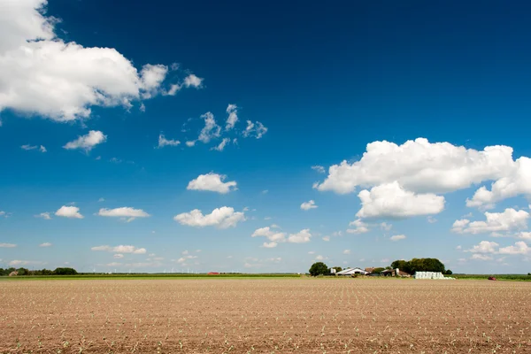 Jordbruk landskap — Stockfoto