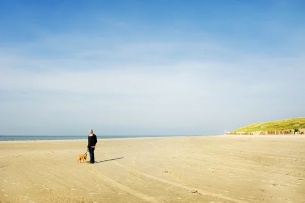Starszy mężczyzna z psem na plaży — Zdjęcie stockowe