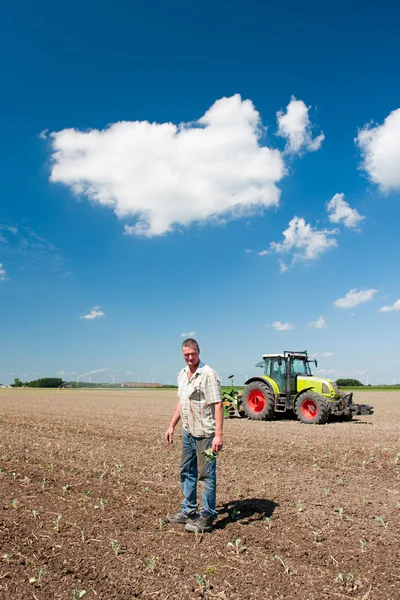 Agricultor com legumes no país — Fotografia de Stock