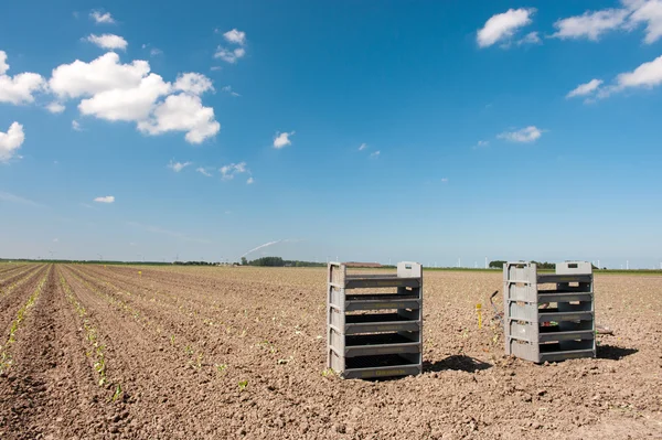 Mezőgazdaság TERÜLETEK — Stock Fotó