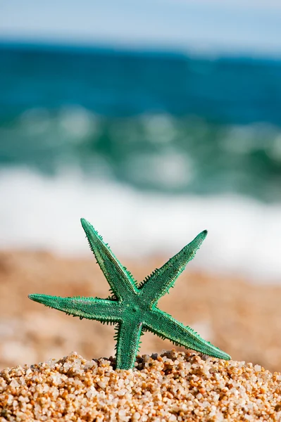 Zelený hvězdice — Stock fotografie