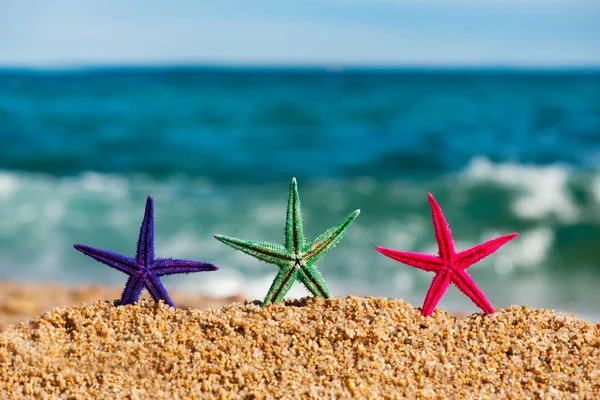 Ayakta starfishes — Stok fotoğraf