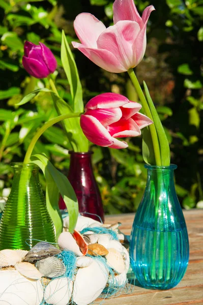 Tulipani in giardino — Foto Stock