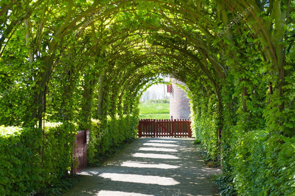 Castle garden — Stock Photo © ivonnewierink 5425753