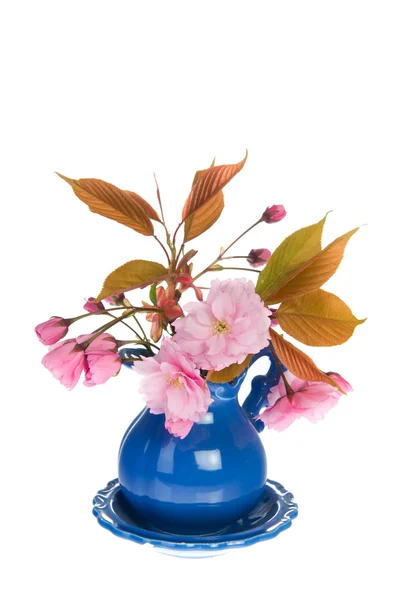Розовый цвет в голубой вазе — стоковое фото