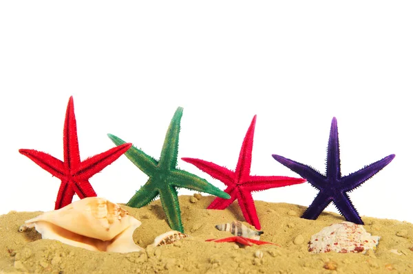 Stelle di mare colorate in spiaggia — Foto Stock