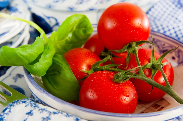 Färska tomater med basilika — Stockfoto
