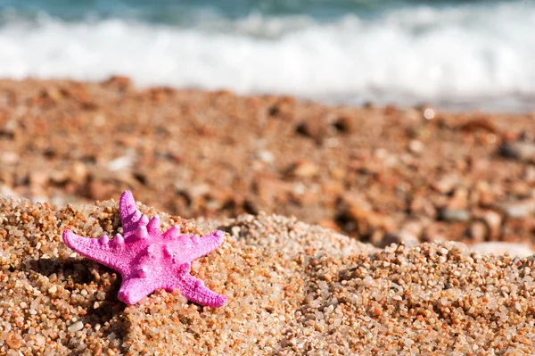 Розовая морская звезда на пляже — стоковое фото