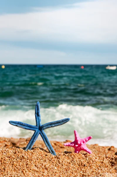 在海滩上的蓝色和粉红色 starfishes — 图库照片