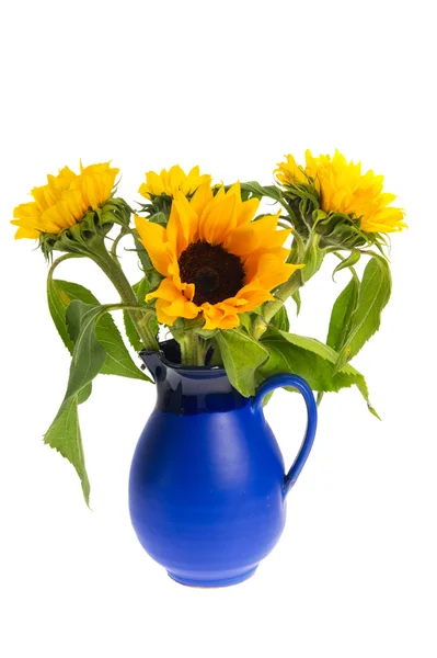 Bouquet sunflowers in blue vase — Stock Photo, Image