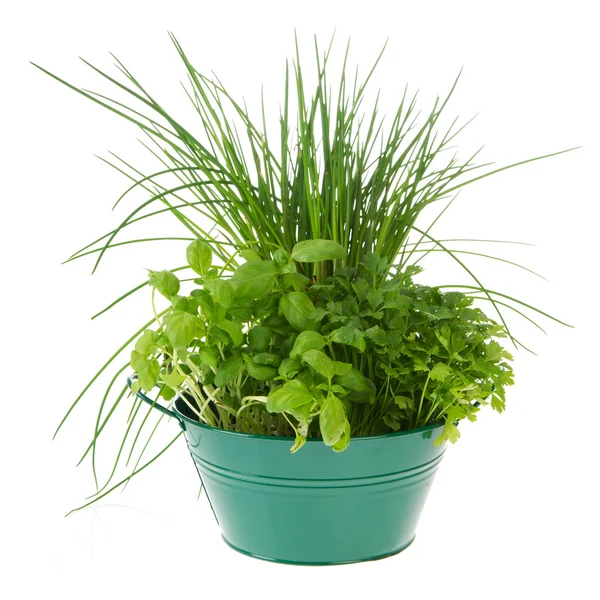 Kitchen herbs — Stock Photo, Image