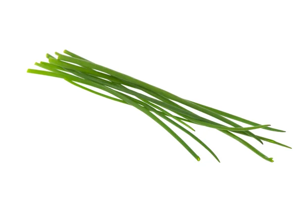 Foglie di erba cipollina — Foto Stock