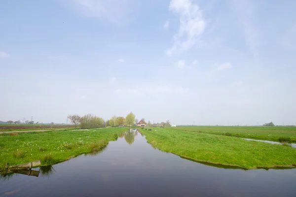 Paisaje holandés con casa de campo — Foto de Stock