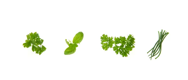 Fresh kitchen herbs — Stock Photo, Image