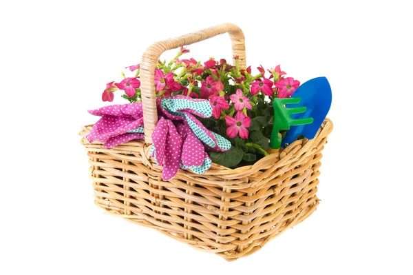 Cesta de flores para jardinería — Foto de Stock