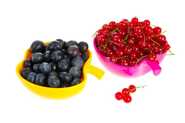 Blue berries and red currants — Stock Photo, Image