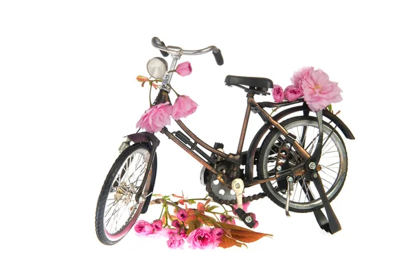 Женский велосипед летом — стоковое фото