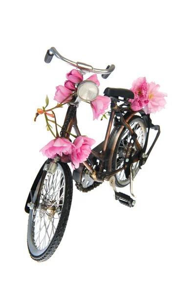 Bicicleta femenina en el verano — Foto de Stock
