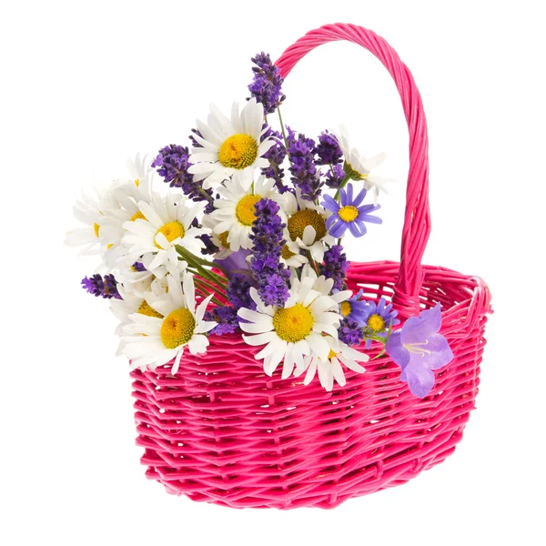 Basket wild flowers — Stock Photo, Image