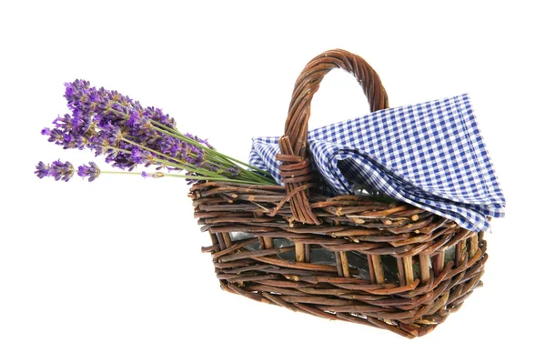 Boeket lavendel in mand — Stockfoto