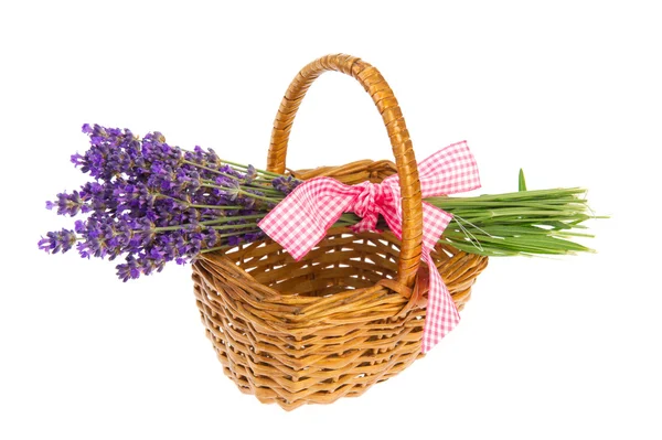 Blumenstrauß Lavendel im Korb — Stockfoto