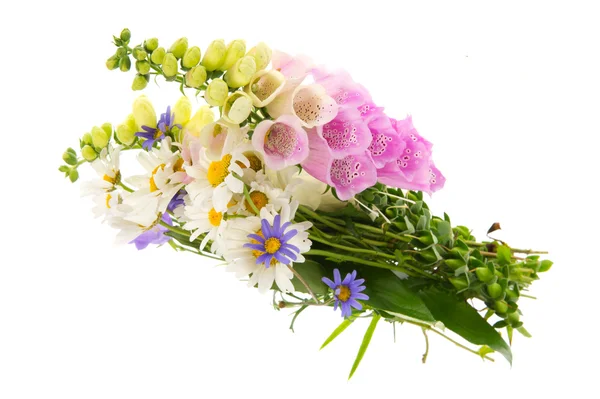 Bouquet selvatici pieghe — Foto Stock