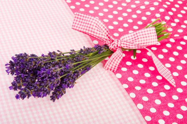 Bouquet Lavendel auf gepunktetem Hintergrund — Stockfoto