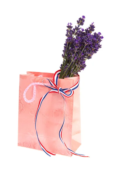 꽃다발 프랑스 라벤더 — 스톡 사진