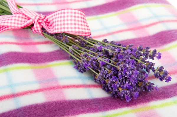 Bouquet Lavender on picnic blanket — Stock Photo, Image