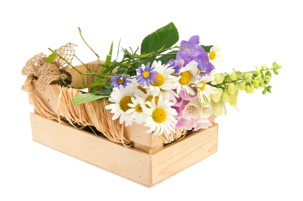 Paarse vingerhoedskruid en wit daisies — Stockfoto