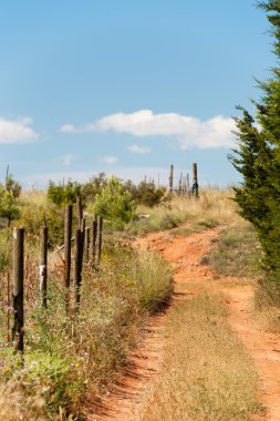 tepe üzerinde kum yolu