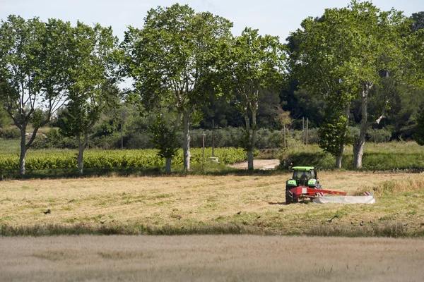 フランスの農業風景 — ストック写真