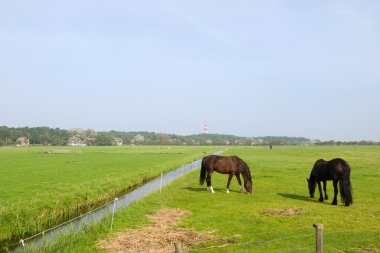 Landscape with horses clipart