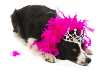 Dog princess clipart