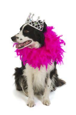 Dog princess clipart