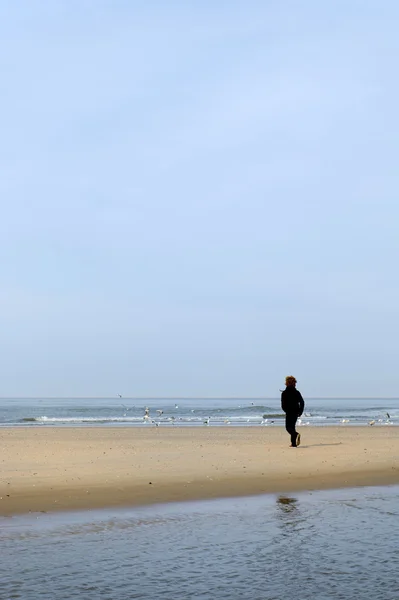 Correndo na praia — Fotografia de Stock