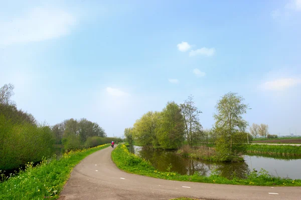 Голландский пейзаж с дорогой — стоковое фото